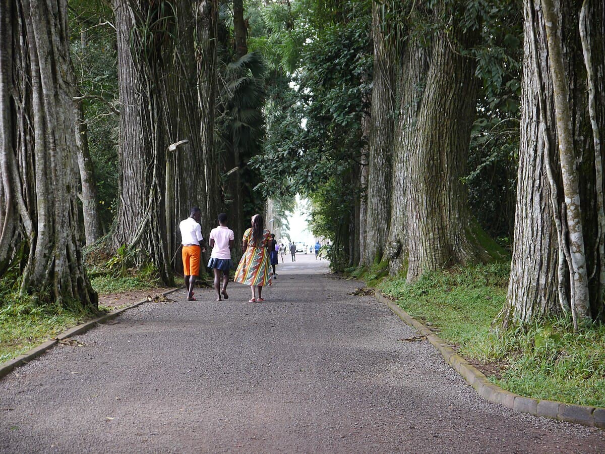 Aburi Botanical Gardens