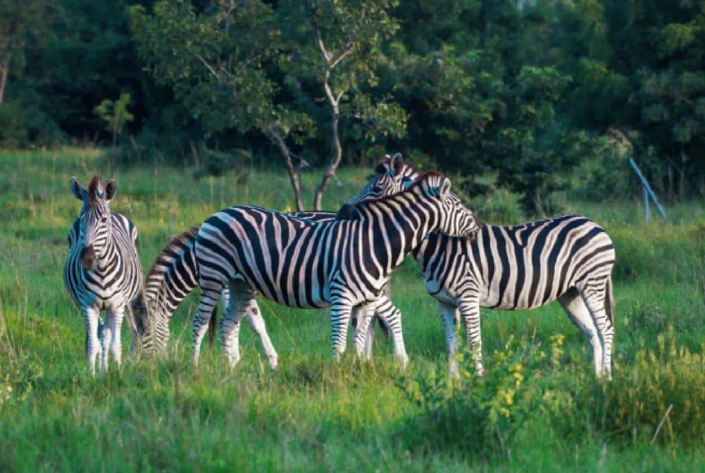 Shai Hills Resource Reserve